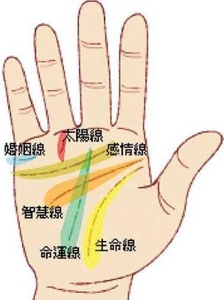 手相反应你的婚姻