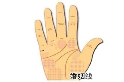 婚姻线短而浅的人容易与另一半发生争吵