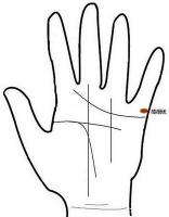 手相婚姻线图解：没有婚姻线